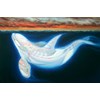 Angela Gram - “Orca” 2020 - Oil on panel - 61 x 92 cm, 24 x 36 in