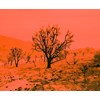 Rainer Hosch - “Apocalypse Now” 2020 - Archival Pigment print on Hahnemühle Photo Rag Baryta,  Ed. 1+1 - 110 x 134 cm, 43 x 53 in