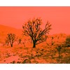 Rainer Hosch - “Apocalypse Now” 2020 - Archival Pigment print on Hahnemuehle Photo Rag Baryta,  Ed. 1+1 - 110 x 134 cm, 43 x 53 in