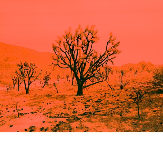 Rainer Hosch - “Apocalypse Now” 2020 - Archival Pigment print on Hahnemühle Photo Rag Baryta, Ed. 1+1 - 110 x 134 cm, 43 x 53 in