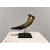 Jed Webster Smith - “Sine Fine Fames” 2021 - Animal horn, leather, brass and lampblack - 28 x 18 cm, 11 x 7 in