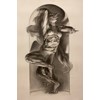 Nicola Verlato - "Amabie" 2021 - Charcoal on paper - 99 x 66 cm, 39 x 26 in