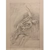 Nicola Verlato - "Narcissus" 2021 - Graphite on paper - 67 x 49,5 cm, 26 x 19,5 in