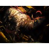 Martin Wittfooth - "Apis" 2022 - Oil on linen - 152,5 x 203 cm, 60 x 80 in