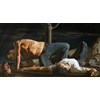 Nicola Verlato - "Stranded" 2024 - Oil on linen - 87 x 164 cm, 34,5 x 64,5 in