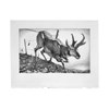 Jed Webster Smith - "Crossing Thru Compositional Drawing" 2025 - Graphite on paper - 35 x 46 cm, 14 x 18 in, framed in handmade poplar frame