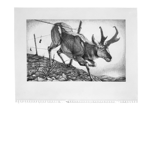 Jed Webster Smith - "Crossing Thru Compositional Drawing" 2025 - Graphite on paper - 35 x 46 cm, 14 x 18 in, framed in handmade poplar frame