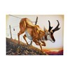 Jed Webster Smith - "Crossing Thru" 2025, - Watercolor on paper mounted to canvas - 114 x 166 cm, 45 x 65 in