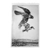 Jed Webster Smith - "Playa Blanca Compositional Drawing" 2025, - Graphite on paper - 60 x 38 cm, 23,5 x 15 in, framed in handmade poplar frame
