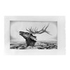 Jed Webster Smith - "Rio de Las Animas Compositional Drawing" 2025 - Graphite on paper - 32 x 54 cm, 12,5 x 21 in, framed in handmade poplar frame