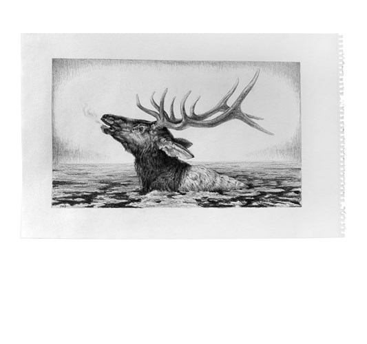 Jed Webster Smith - "Rio de Las Animas Compositional Drawing" 2025 - Graphite on paper - 32 x 54 cm, 12,5 x 21 in, framed in handmade poplar frame