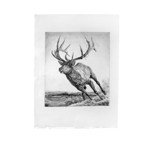 Jed Webster Smith - "Shifting Winds Compositional Drawing" 2025 - Graphite on paper - 56 x 41 cm, 22 x 16 in (unframed), Handmade poplar frame