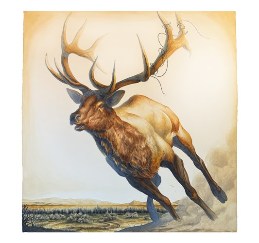 Jed Webster Smith - "Shifting Winds" 2025, - Watercolor on paper mounted to canvas, - 119 x 114 cm, 47 x 45 in