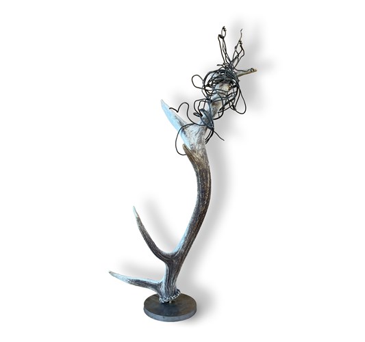 Jed Webster Smith - "The Antler" 2025 - Elk antler, barbed wire, steel and brass - 77 x 41 x 31 cm, 31 x 16 x 12 in