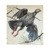 Jed Webster Smith - "Near Miss" 2025 - Watercolor on paper mounted to canvas, - 38 x 36 cm, 14 x 15 in