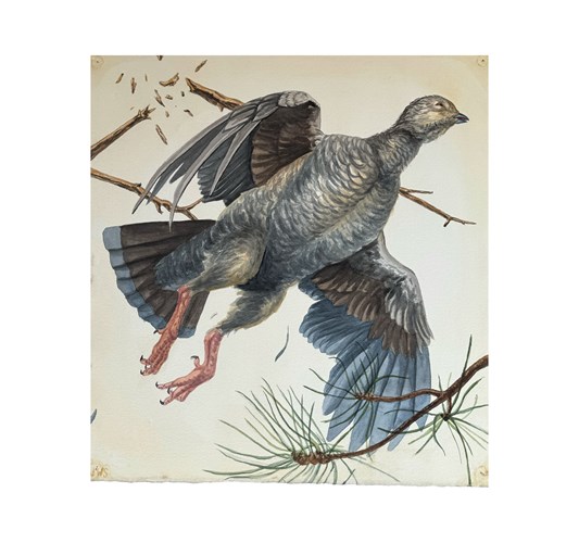 Jed Webster Smith - "Near Miss" 2025 - Watercolor on paper mounted to canvas, - 38 x 36 cm, 14 x 15 in