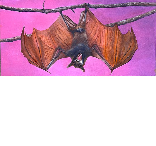 Barnaby Whitfield - "Dallas Cowboy" 2025, - Oil on canvas, - 25 x 51 cm, 10 x 20 in