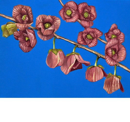 Barnaby Whitfield - "Paw Paw" 2025, - Oil on canvas, - 31 x 23 cm, 12 x 9 in