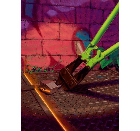 Taylor Schultek -  -  -