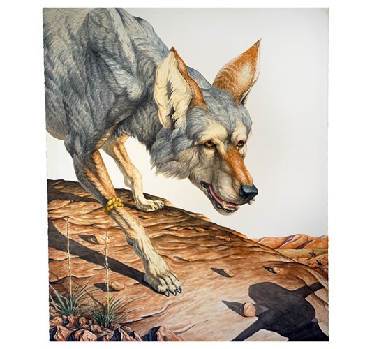 Jed Webster Smith - “La Incursio´n de los Lobos del Sauces” 2026 - Watercolor on paper mounted to canvas - 138 x 114 cm, 54 x 45 in