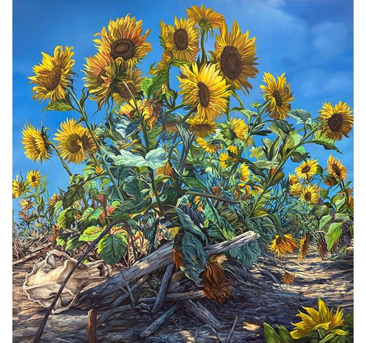 Angela Gram - ”Bear Skull” 2026, - Oil on linen - 130 x 130 cm, 51 x 51 in