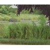 Stephen Vollo - "Vacant Lot" 2026, - Oil on canvas over panel, - 30 x 46 cm, 12 x 18 in