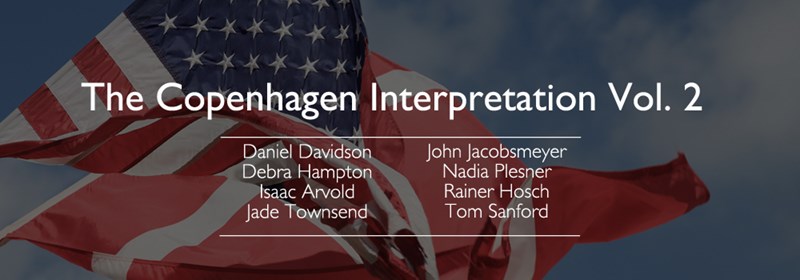 The Copenhagen Interpretation Vol. 2